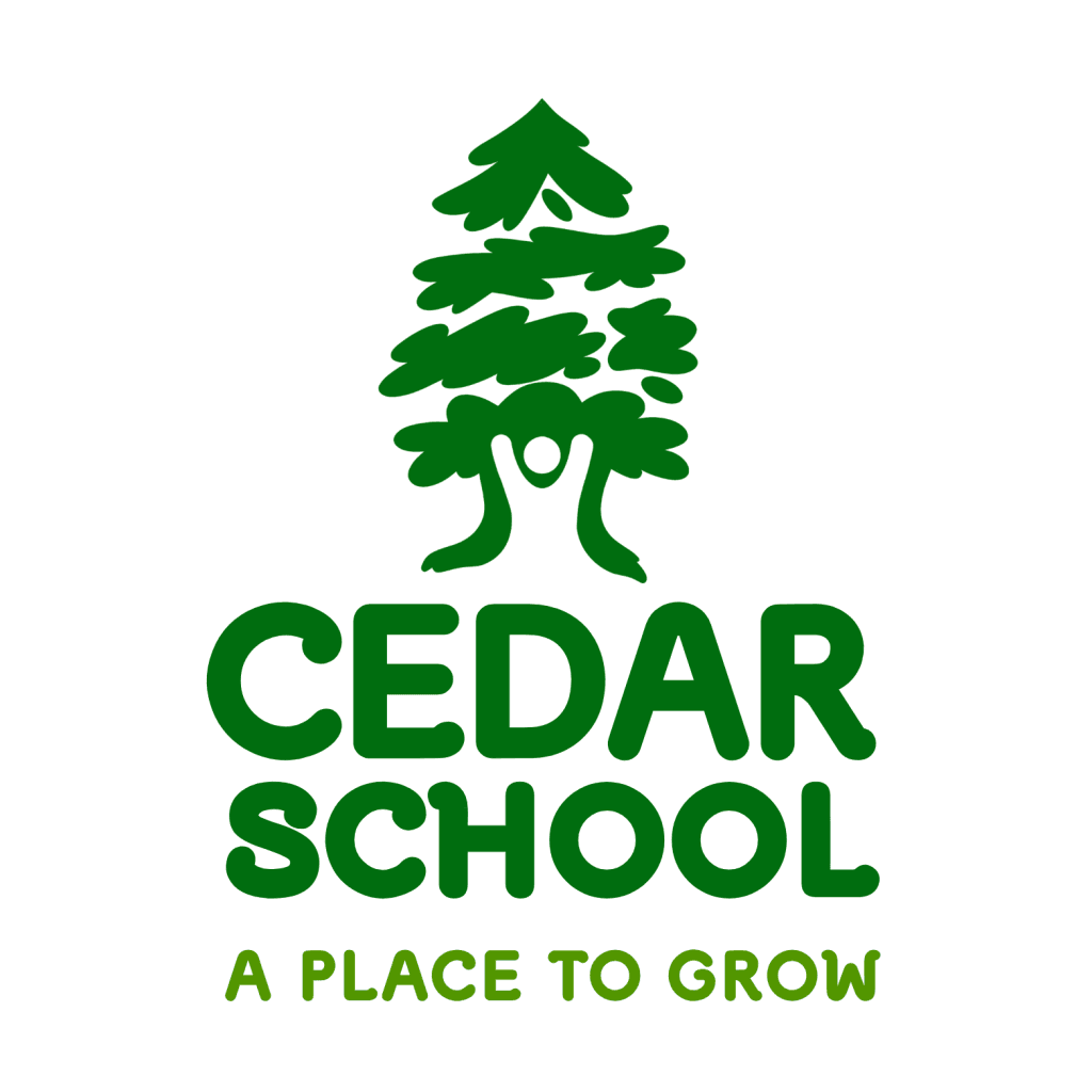 Cedar School LLC