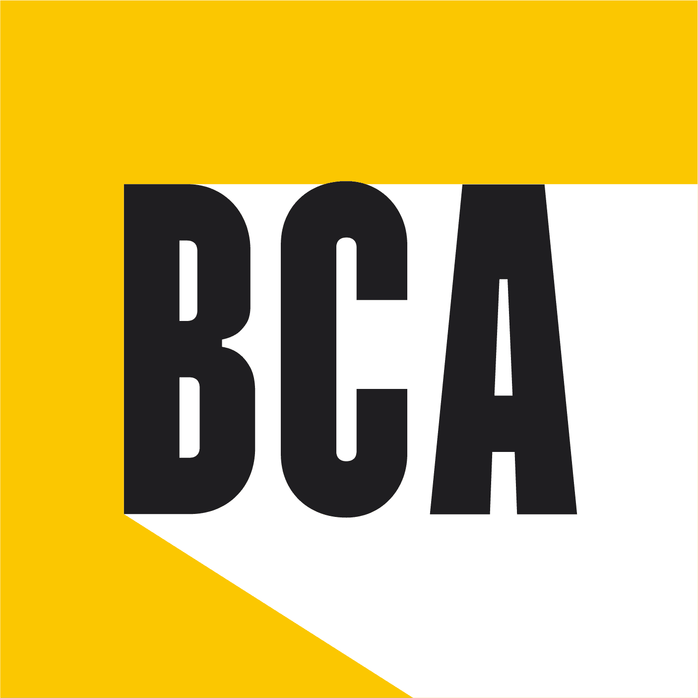 BCACADEMY EARLY CHILDHOOD CENTER LLC