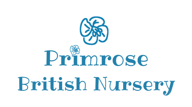 Primrose British Nursery
