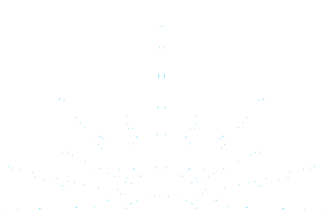Vision Private School