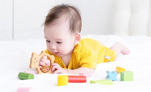 British Home Nursery - Shamkhah