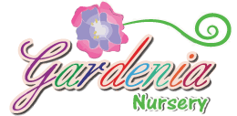 Gardenia Early childhood